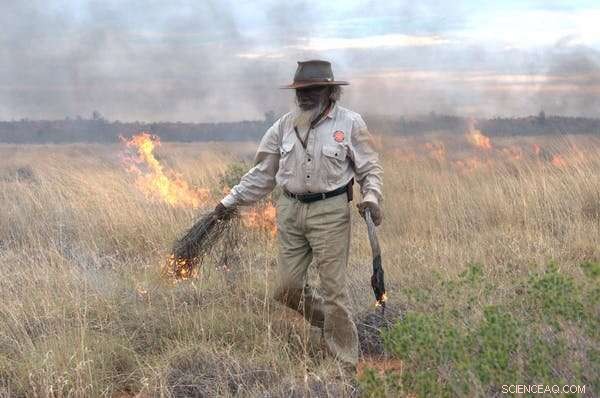 Australia s Remote Fires: A Professional Firewatcher s Perspective on the Unprecedented Wildfire Scale