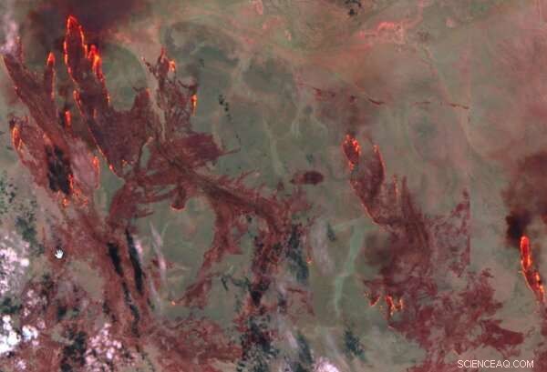 Australia s Remote Fires: A Professional Firewatcher s Perspective on the Unprecedented Wildfire Scale