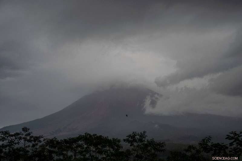 Mount Semeru Volcano Eruption: Death Toll Reaches 34 as Rescue Efforts Continue