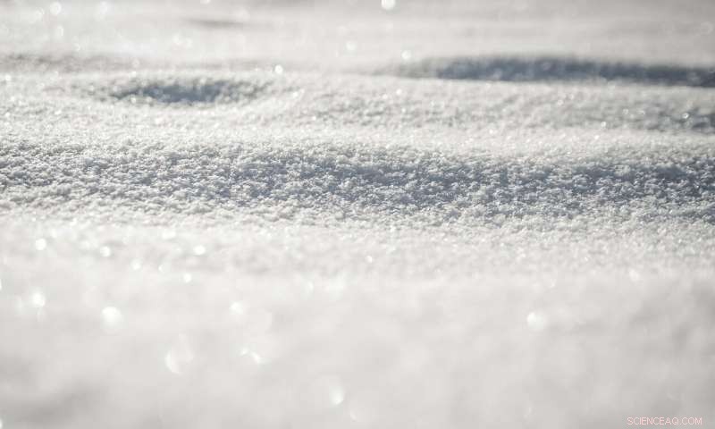 California Could See a Snowless Winter Sooner Than Expected