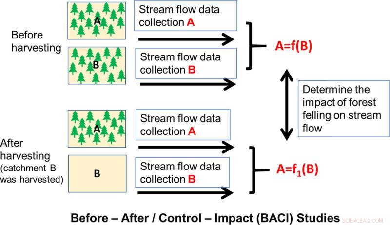 Research Reveals Forests Provide Limited Flood Protection During Major Events