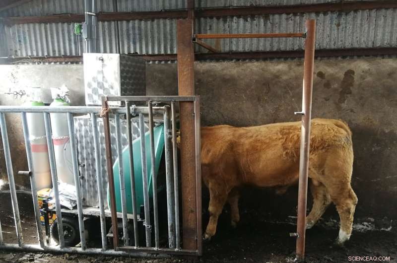 Ireland s First Large-Scale Study Reveals Up to 30% Lower Methane Emissions in Beef Cattle