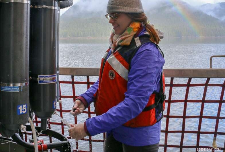 Plastic Debris Sparks Unexpected Marine Life Communities in the Open Ocean