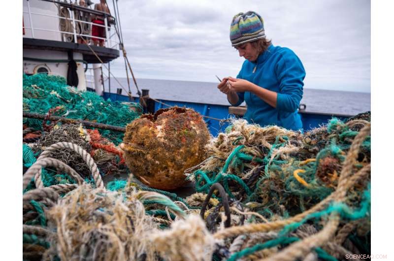 Plastic Debris Sparks Unexpected Marine Life Communities in the Open Ocean