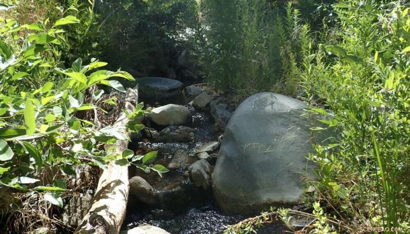 Study Reveals How Drought and Fire Jointly Transform Stream Ecosystems, Emphasizing Headwater Conservation