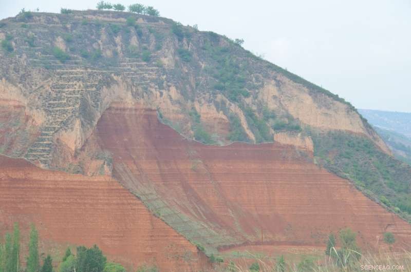 Early‑to‑Middle Pliocene Climate Dynamics Offer Key Insights for Future Climate Change