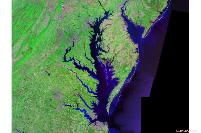 How Climate Change Alters the Size and Duration of Chesapeake Bay’s Dead Zone
