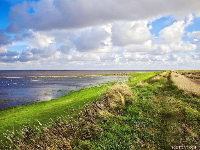 Partnering with Nature: The Sustainable Path to Climate and Biodiversity Recovery