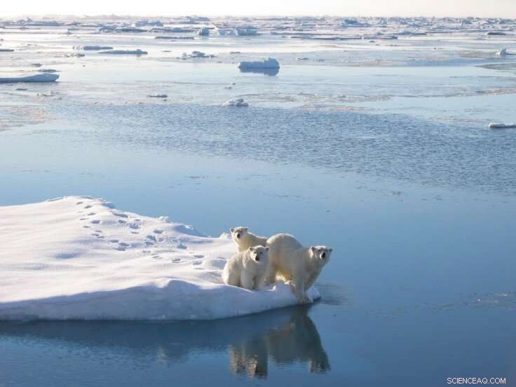 Advancing Accuracy of Polar Climate Forecasts to Combat Global Warming