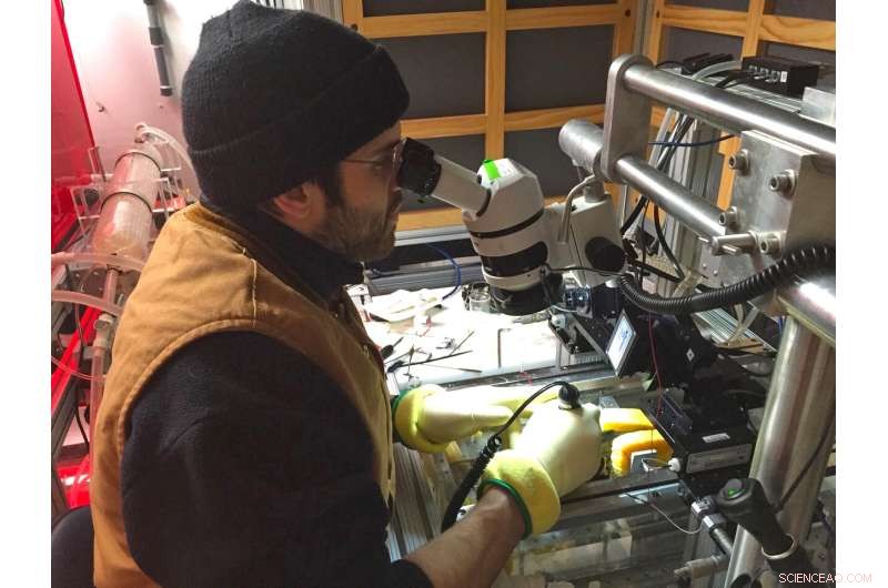 Antarctic Fish Reveal Adaptive Behaviors to Rising Southern Ocean Temperatures