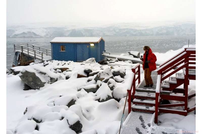 Antarctic Fish Reveal Adaptive Behaviors to Rising Southern Ocean Temperatures