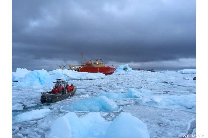 Antarctic Fish Reveal Adaptive Behaviors to Rising Southern Ocean Temperatures