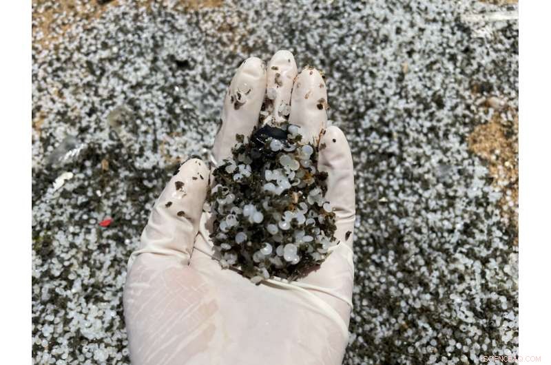 New Study Highlights Obstacles in Cleaning Burnt and Unburnt Nurdles from Sri Lanka s Coastlines