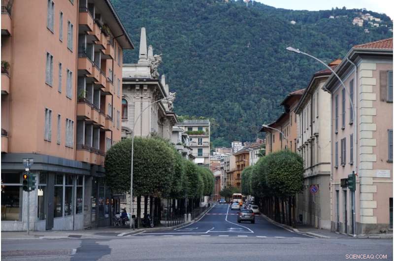 Trees Can Cool Urban Heat Islands by up to 12°C, New Study Shows