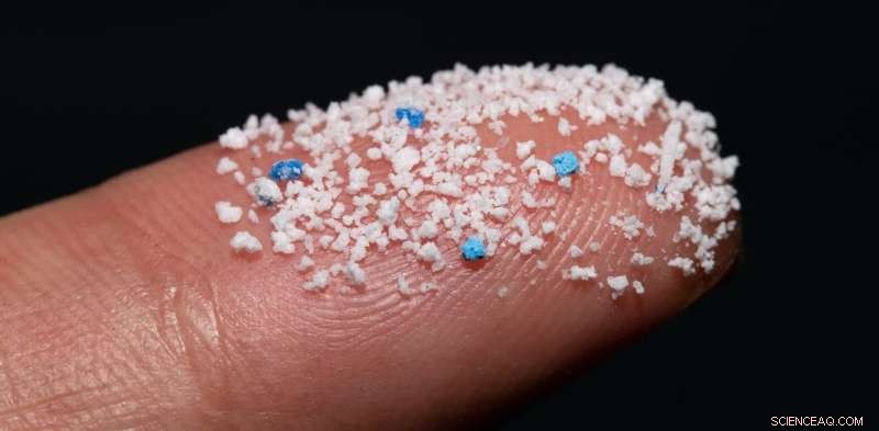 Microplastics Threaten Oceans—and Our Soils: The Hidden Pandemic of Plastic Pollution