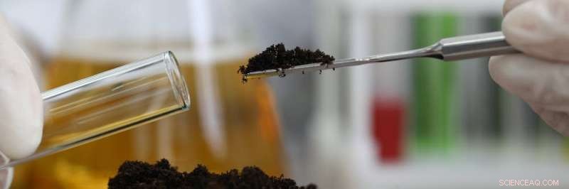 Microplastics Threaten Oceans—and Our Soils: The Hidden Pandemic of Plastic Pollution