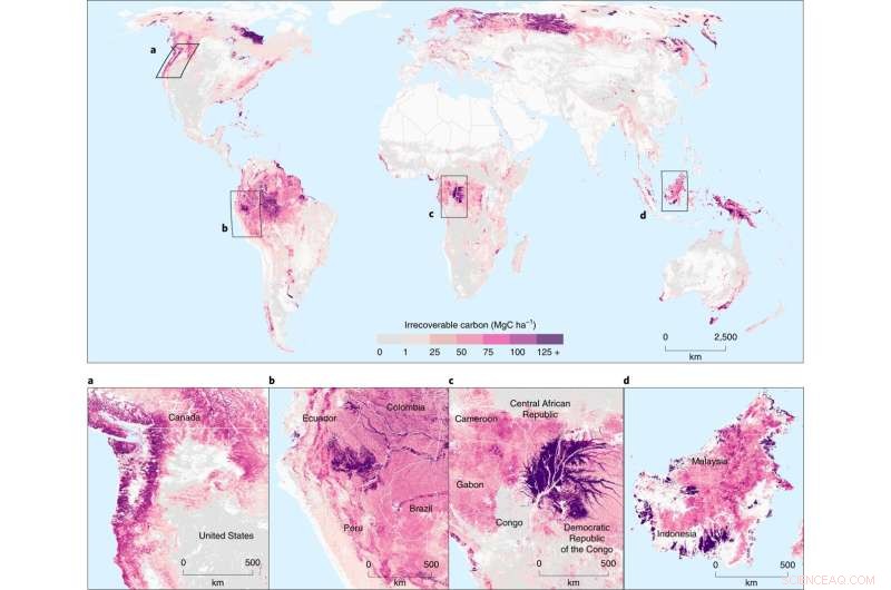 Identifying Critical Carbon Reservoirs to Prevent Climate Catastrophe