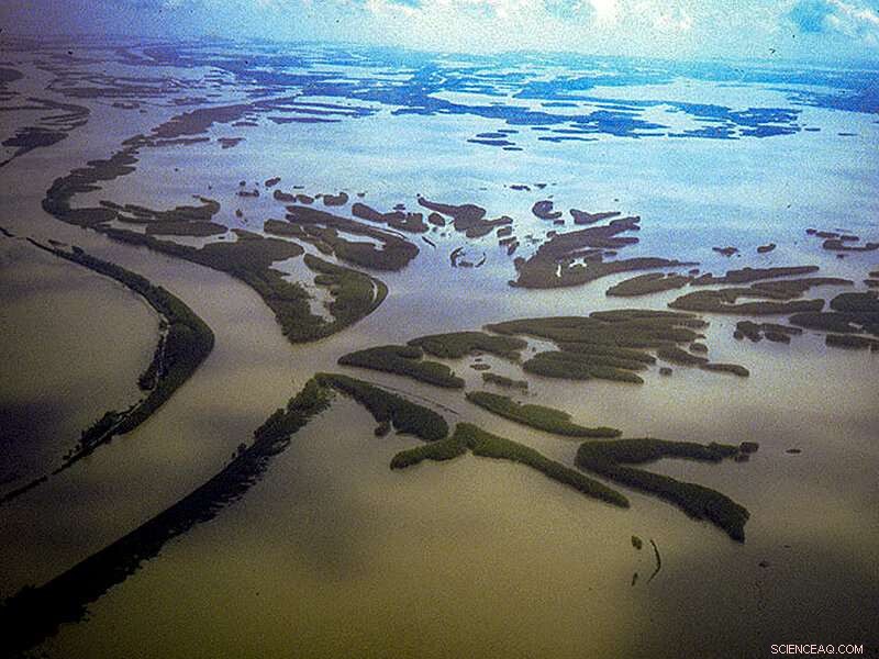 River Diversions Offer Hope to Halt Louisiana s Rapid Land Subsidence