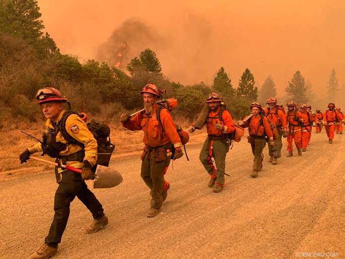 Study Reveals Rising Climate‑Driven Forest Fires Threaten Western Forests