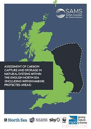 Evaluating Natural Carbon Capture and Storage in the English North Sea