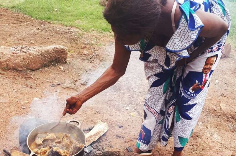 Groundbreaking Study Promises Rapid Growth of Clean LPG Cooking in Sub‑Saharan Africa