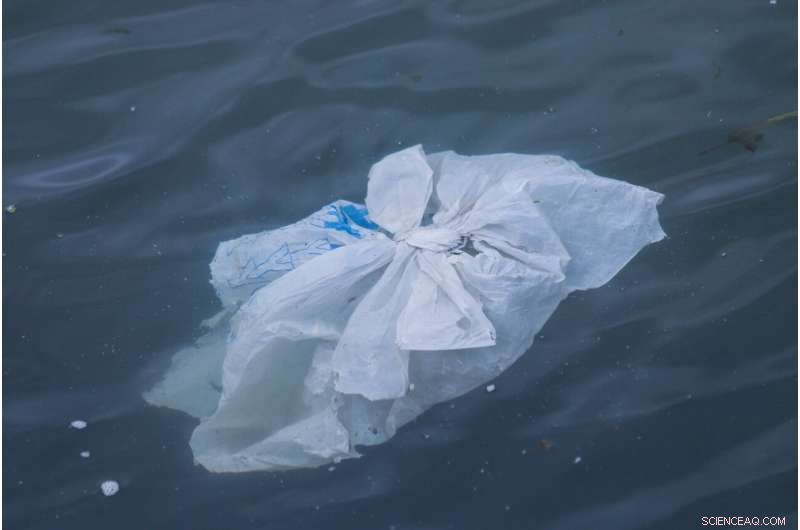 Research Reveals Impact of Plastic Bag Bans on Recycling Sites: Insights and Solutions