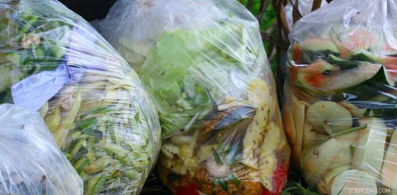 Reduce Food Waste: 5 Practical Strategies and Their Environmental Impact