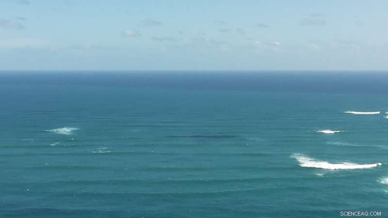 New Study Illuminates Key Pacific-to-Atlantic Current Connection