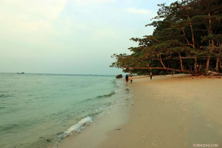 Indonesia s Small Islands at Risk: Rising Sea Levels Threaten Their Future