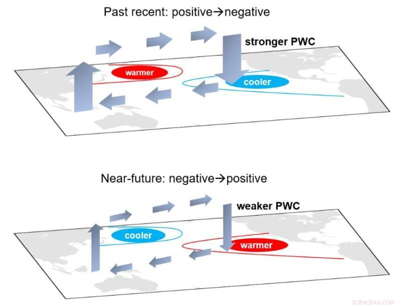 Natural Pacific Ocean Variability Drives Decade-Long Intensification of the Pacific Walker Circulation
