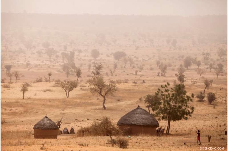 Africa’s Green Wall: Economic Gains Amid Security Challenges