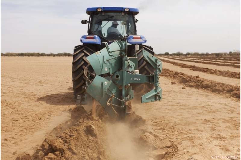 Africa’s Green Wall: Economic Gains Amid Security Challenges