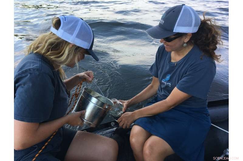 Scientists May Be Contaminating Water Samples with Microfibers – A New Study Reveals Procedural Risks