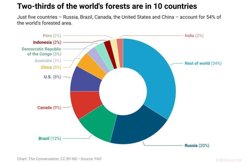 Organized Crime, Agriculture, and Wood Products: Key Drivers of Global Deforestation