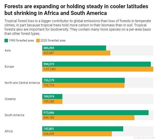 Organized Crime, Agriculture, and Wood Products: Key Drivers of Global Deforestation