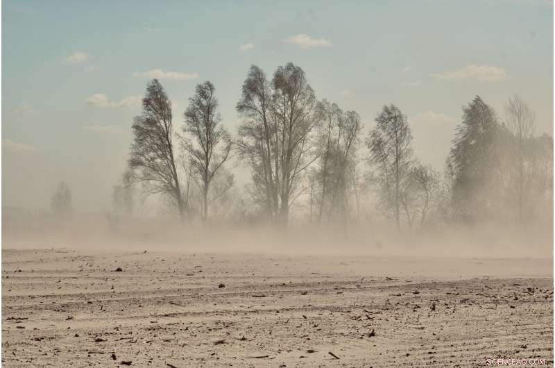 Six Critical Action Areas to Save Our Planet