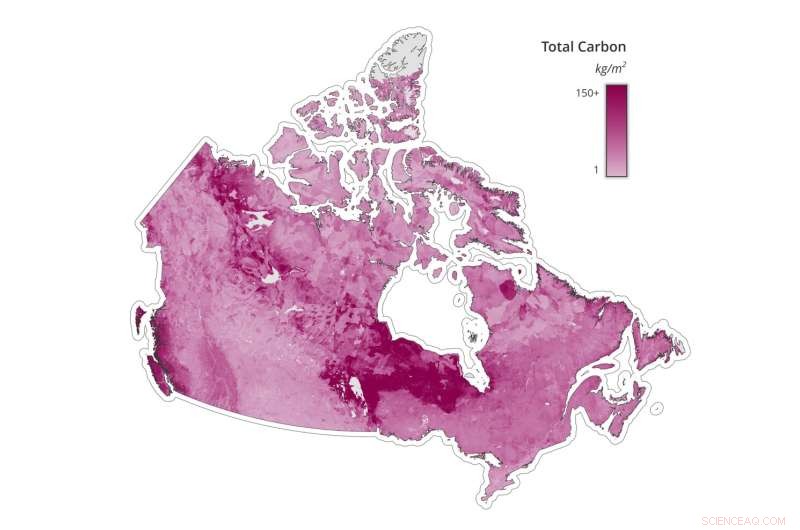 Canada’s Carbon Reservoirs: Their Critical Role in Global Climate Stability
