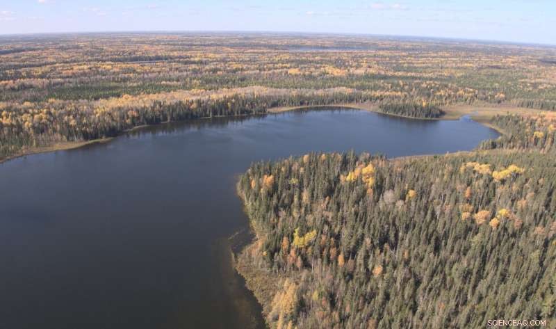 Canada’s Carbon Reservoirs: Their Critical Role in Global Climate Stability