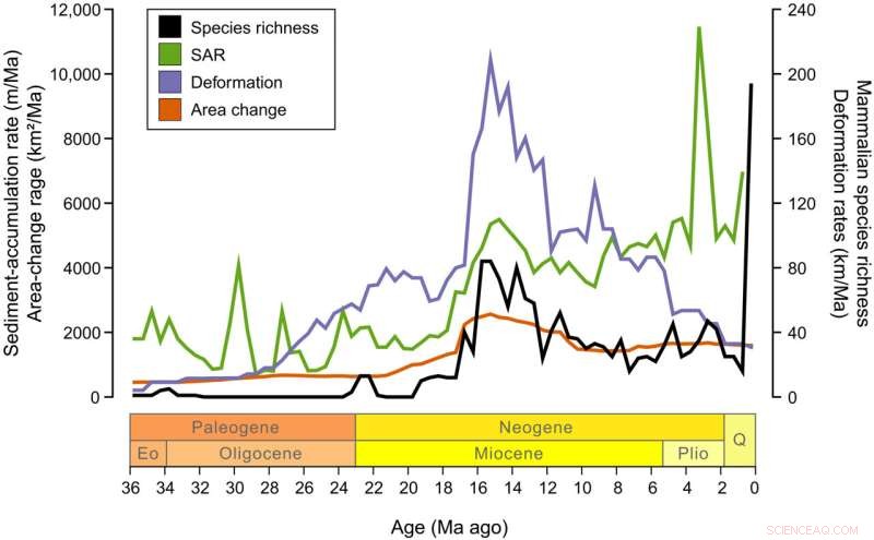 Tectonic Drivers of Cenozoic Mammal Diversity in the Basin and Range