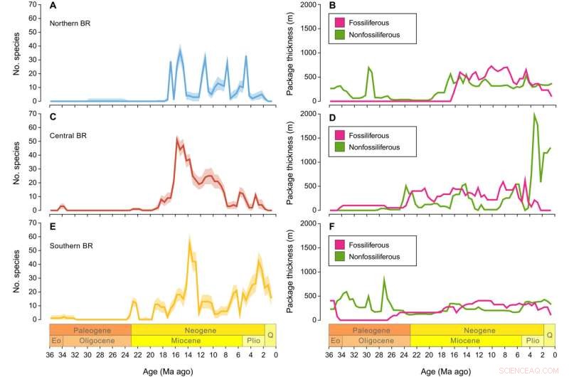 Tectonic Drivers of Cenozoic Mammal Diversity in the Basin and Range
