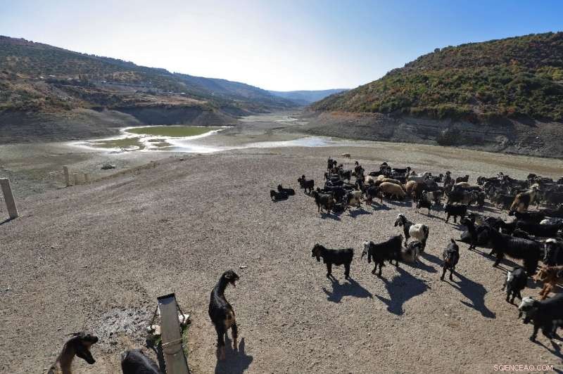 Duwaysat Dam Reservoir in Syria Dries Up After 27 Years