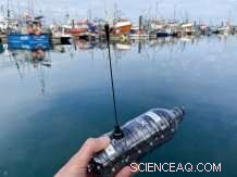 COP26: Scientists Launch Plastic Tracking Devices Off Scotland to Map Ocean Pollution Pathways