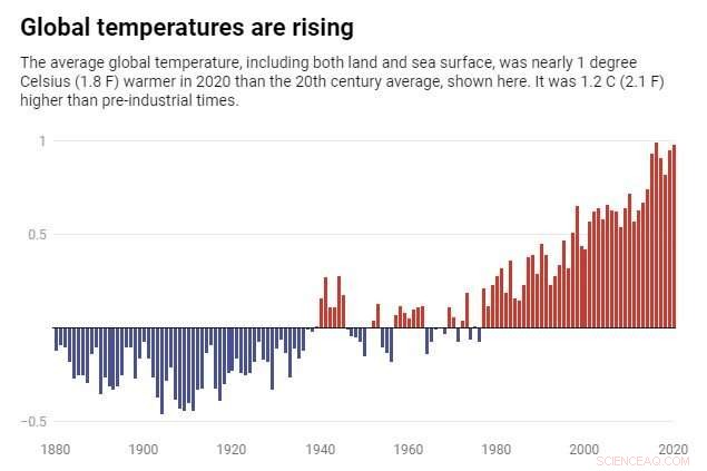 7 Proven Strategies to Act on Climate Change – Expert Leadership Tips