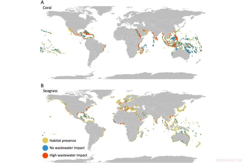 Mapping Human Sewage Impact on Global Coastal Ecosystems