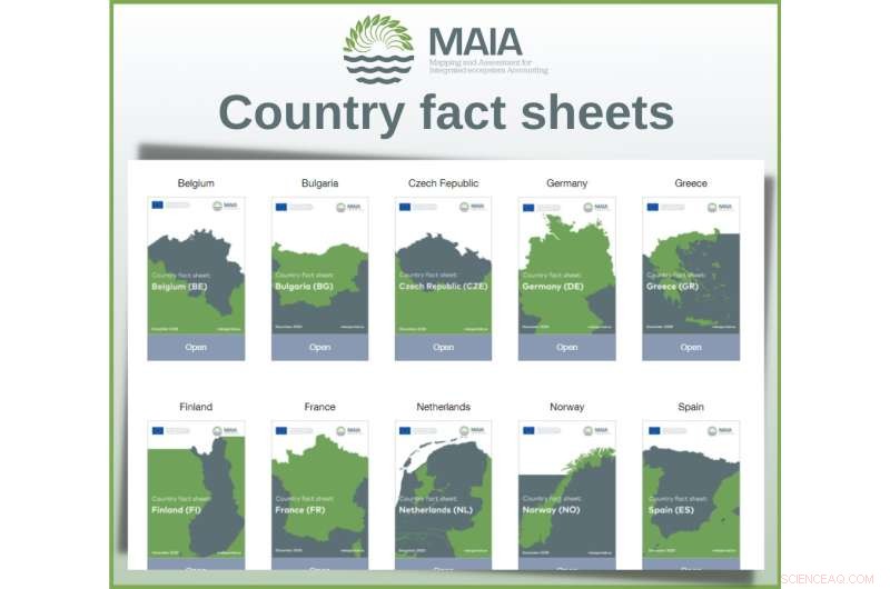 Current Landscape of Natural Capital Accounting in Europe