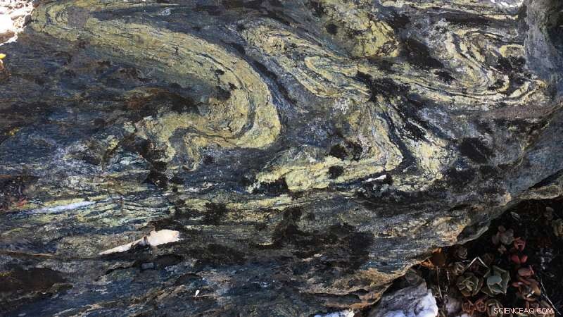 Uncovering Why Seismic Waves Slow in Subduction Zones