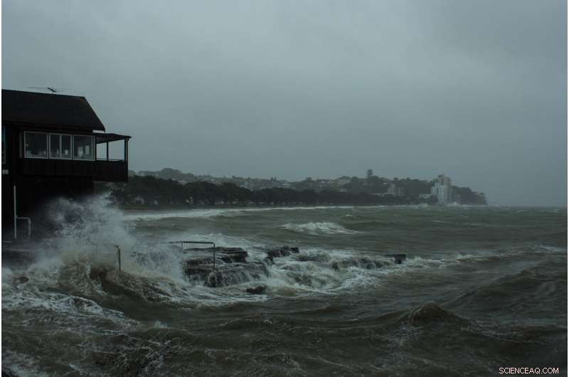 Accelerating Coastal Adaptation: Focused Planning Reduces Climate Risks