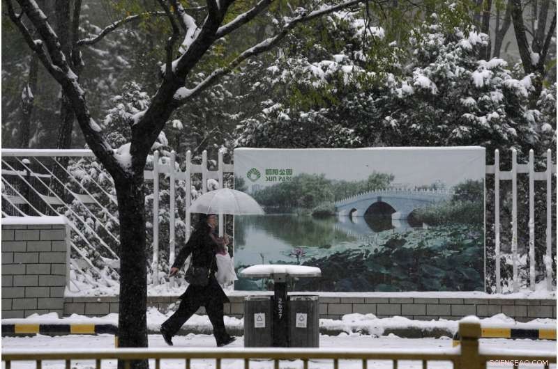 Early Snowstorm Blankets Beijing, Disrupting Travel and Roadways