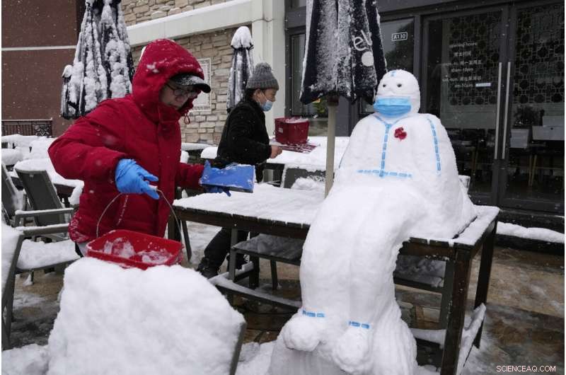 Early Snowstorm Blankets Beijing, Disrupting Travel and Roadways