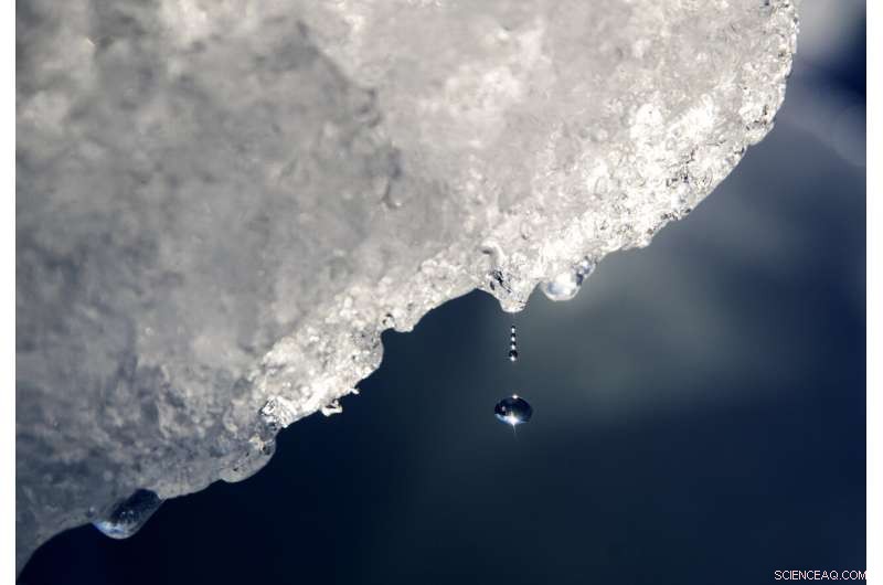 Arctic Ice on the Brink: Climate Change Accelerates Melting